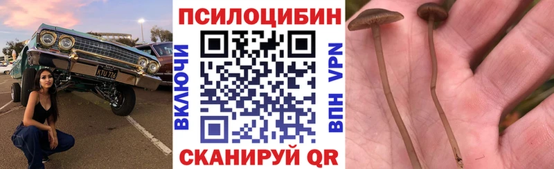 Псилоцибиновые грибы MAGIC MUSHROOMS  Шумерля 