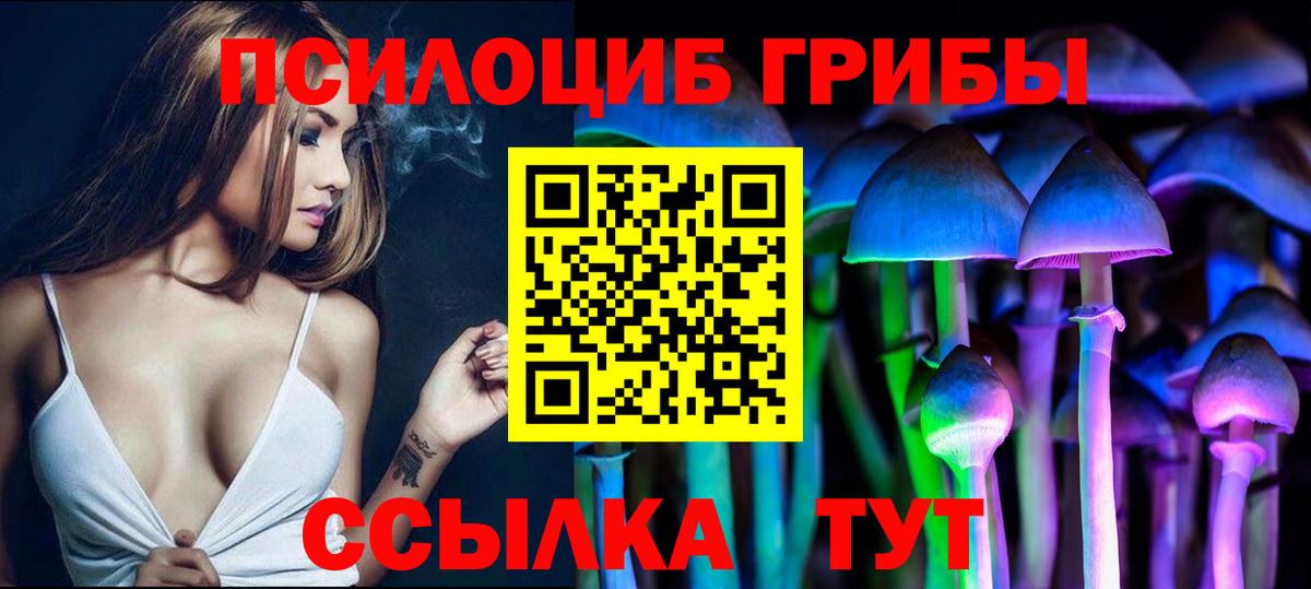 Галлюциногенные грибы Cubensis Шумерля